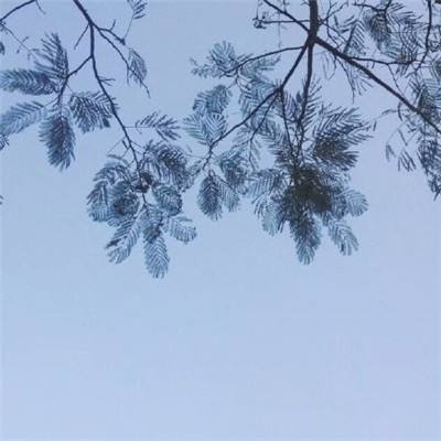 魔神天堂官方手游下载